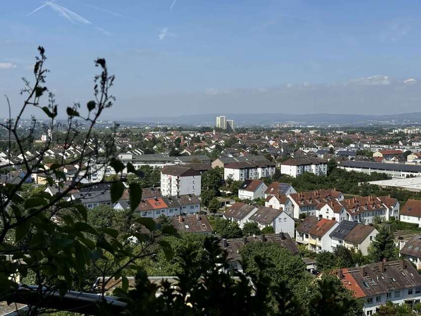 Wohnung zum Kaufen in Hochheim a. Main 415.000 € 187 m²
