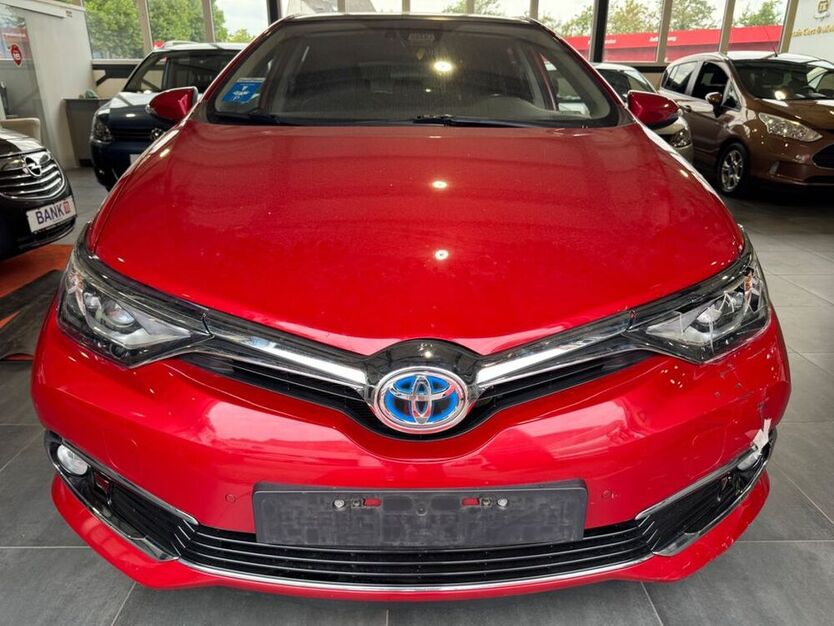 Auris