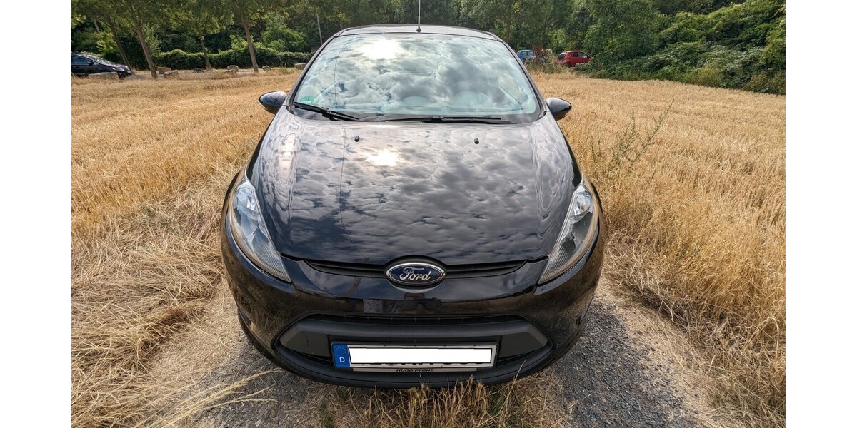 Ford Fiesta 65.530 km 5.300 € Wiesbaden 65183