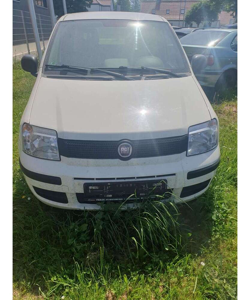 Panda