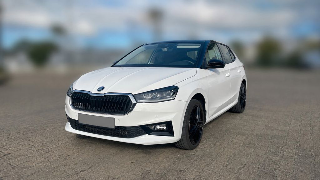 Skoda Fabia 11.100 km 19.990 &euro; Arnsberg 59759
