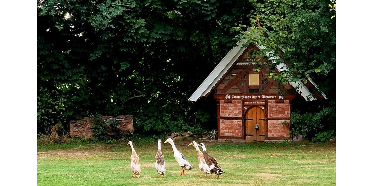 Bauernhaus, Landhaus Bramsche - 8 Zimmer, 450 m&sup2;, 1.234.567&euro; | Angebot:24558786