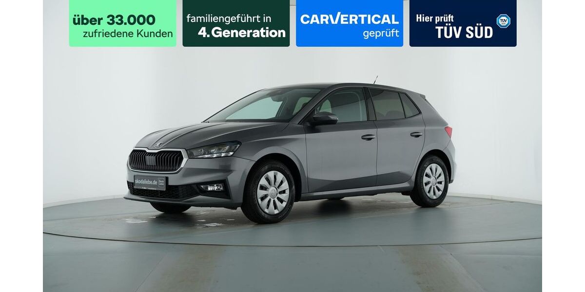 Skoda Fabia 24.363 km 16.589 &euro; Leipzig 04103