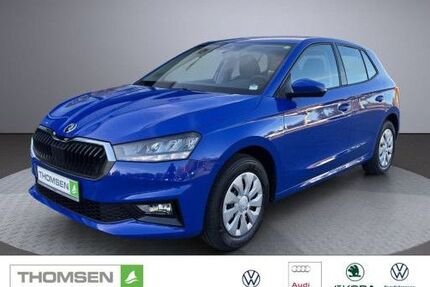 Skoda Fabia 1.100 km 17.890 &euro; Kropp 24848