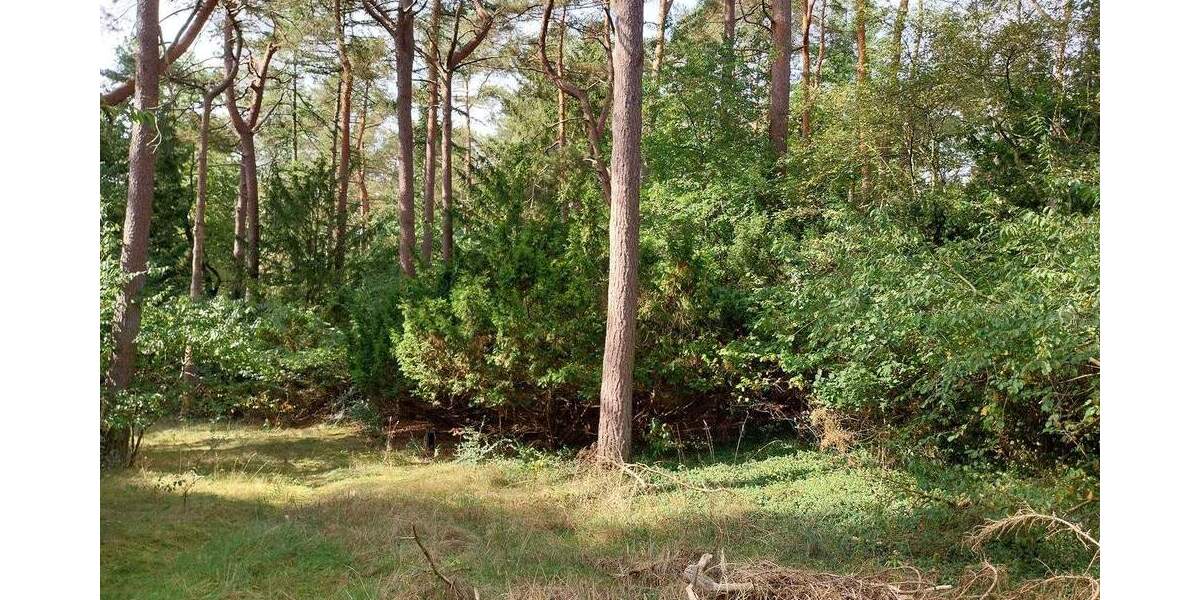 Grundstück Seevetal - Ramelsloh Ramelsloh - 775.000&euro; | Angebot:25661952