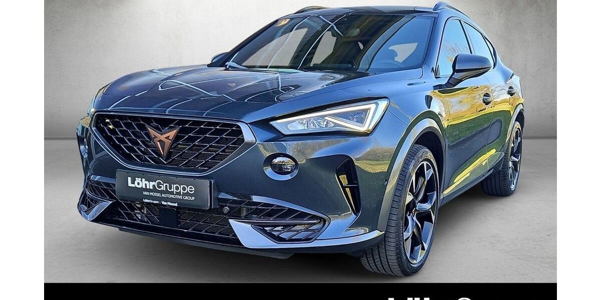 Cupra Formentor 19.822 km 33.480 &euro; Mainz 55120