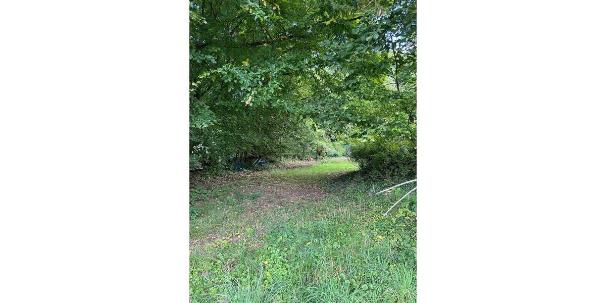 Traumgrundstück mit kleinem Wohn- und Wochenendhaus zimmer