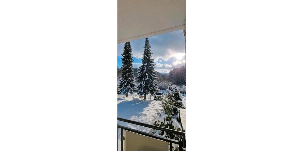 Etagenwohnung Winterberg - 2 Zimmer, 66 m&sup2;, 599&euro; | Angebot:26521871