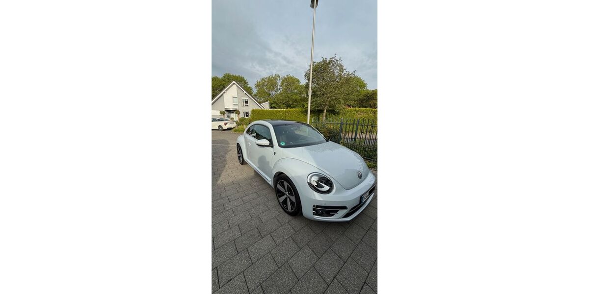 VW Beetle 24.162 km 20.999 &euro; Übach-Palenberg 52531