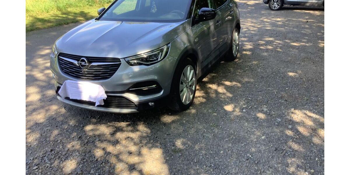 Opel Grandland (X) 55.800 km 19.800 &euro; Gelnhausen 63571