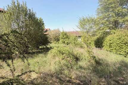 Grundstück Oedheim - 219.000&euro; | Angebot:26309059