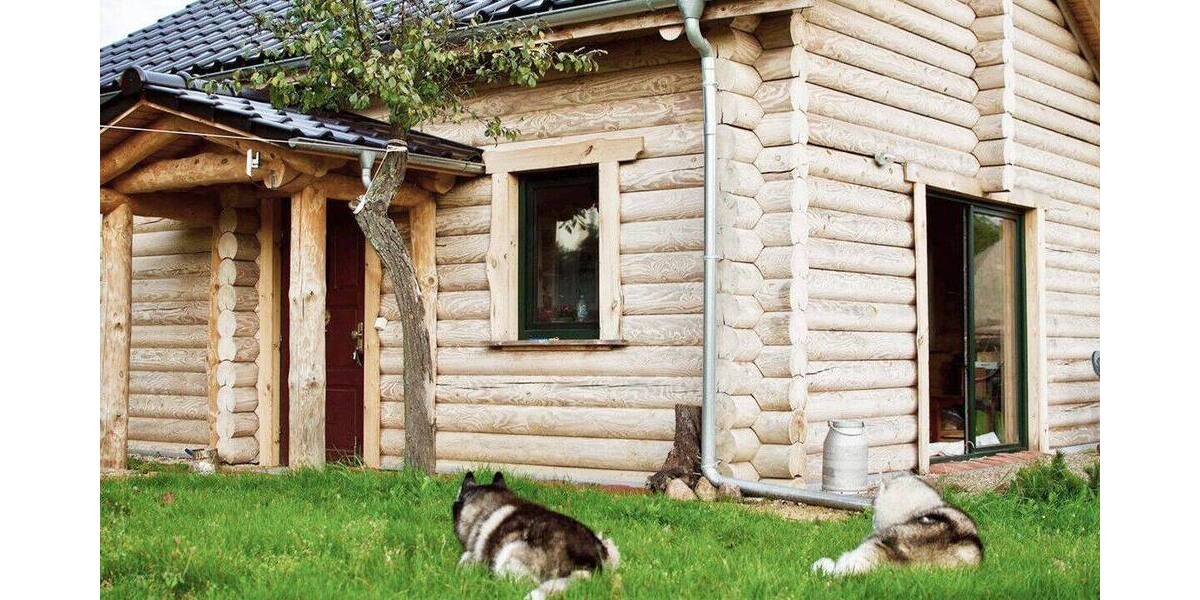 Mehrfamilienhaus, Wohnhaus Sergen / Neuhausen Sergen - 3 Zimmer, 55 m&sup2;, 179.000&euro; | Angebot:26796291
