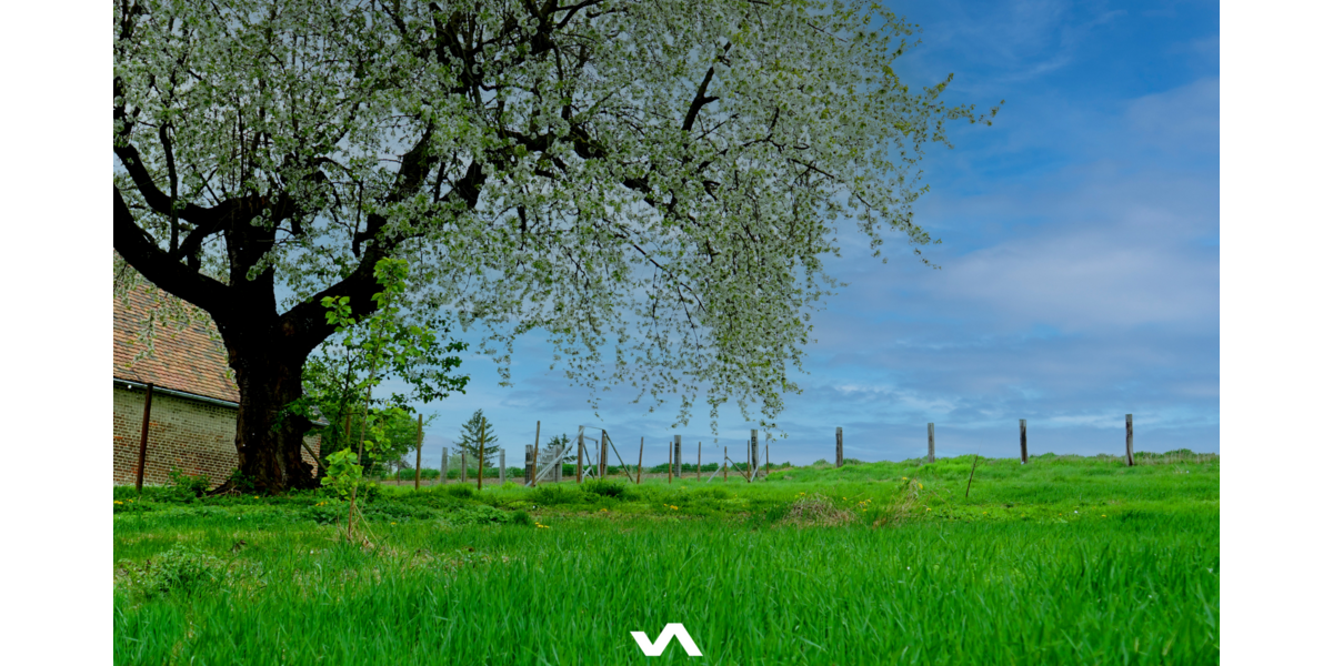 Grundstück Stößen - 65.000&euro; | Angebot:15650841