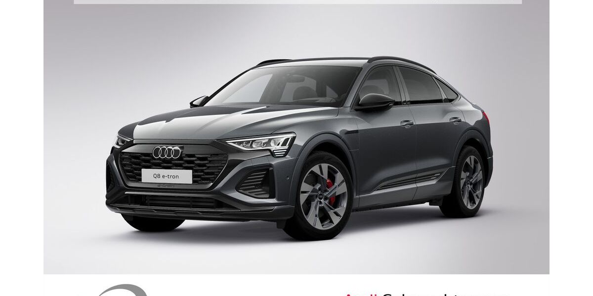 Audi Q8 e-tron 21.639 km 57.900 &euro; Ludwigshafen 67063