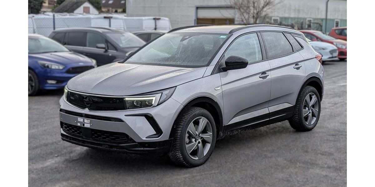 Opel Grandland (X) 17.700 km 26.890 &euro; Landau 76829