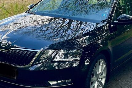 Skoda Octavia 127.500 km 17.250 &euro; Kolkwitz 03099