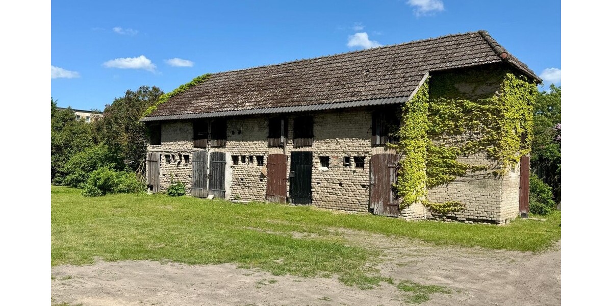HORN IMMOBILIEN++ Neubrandenburg, vermietetes MFH mit 13 WE, großem Grundstück, nur 500 m zur Innenstadt - Mehrfamilienhaus, Wohnhaus Neubrandenburg Datzeberg | Angebot:27103821