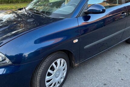Seat Ibiza 258.000 km 999 &euro; Emkendorf/Bokelholm 24802