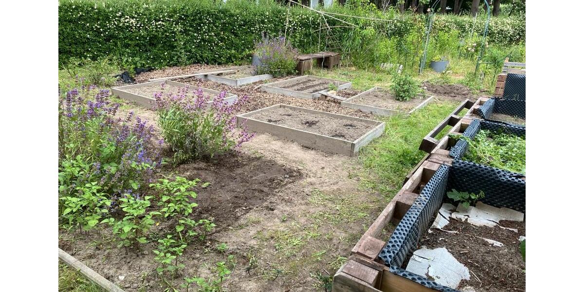 Grundstück Rostock - 7.000&euro; | Angebot:25256780