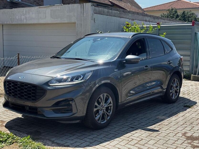 Kuga