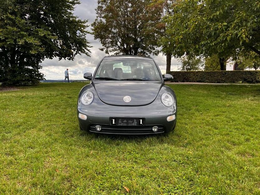 Beetle
