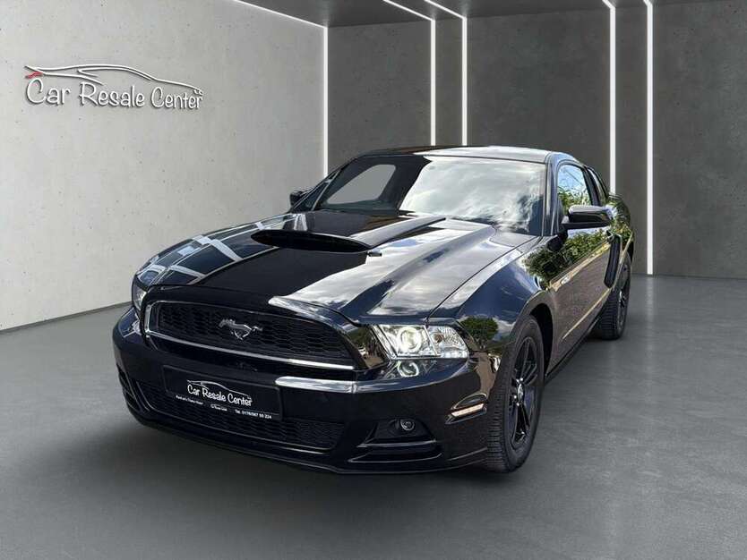 Mustang