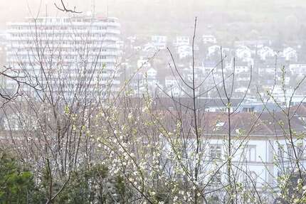 Grundstück Lörrach - 1.600.000&euro; | Angebot:25343252