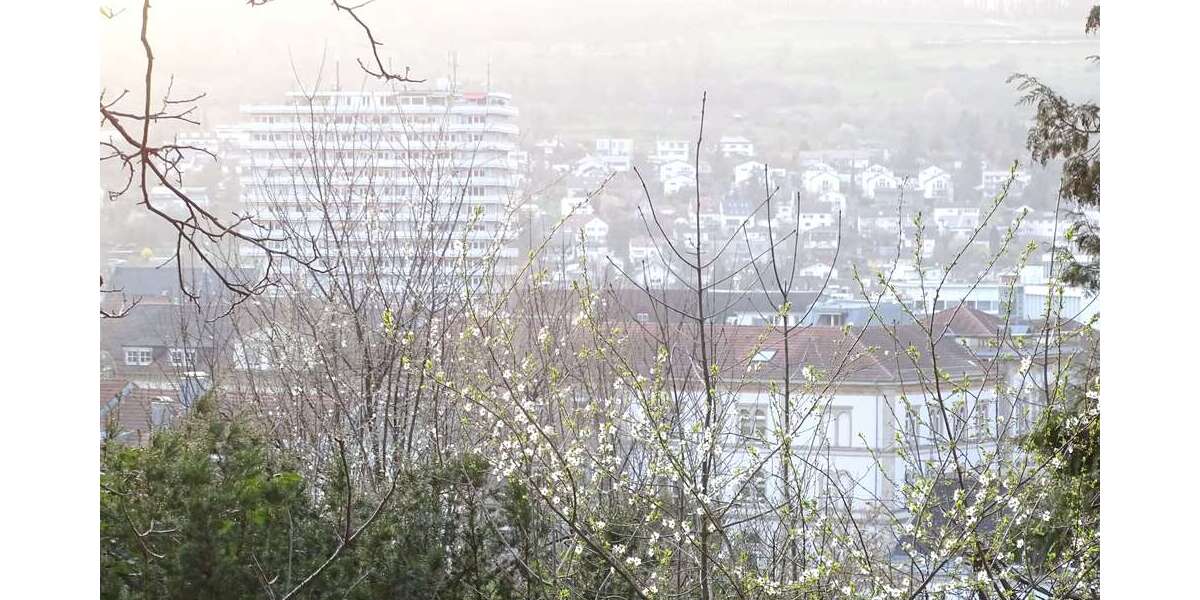 Grundstück Lörrach - 1.600.000&euro; | Angebot:25343252