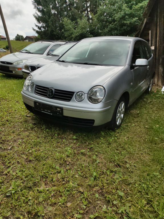 Polo