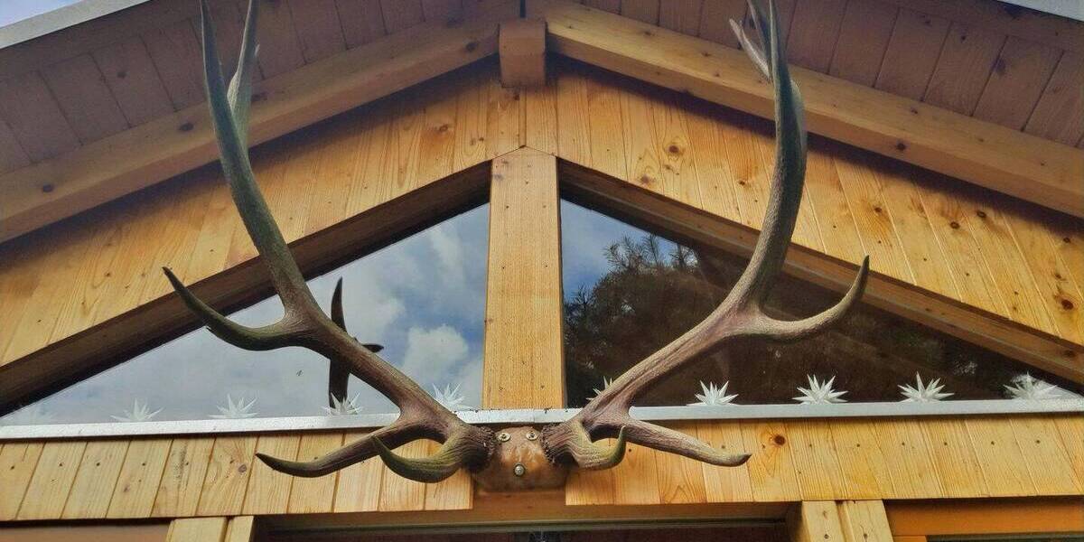 Einfamilienhaus Altenberg Hirschsprung - 4 Zimmer, 80 m&sup2;, 295.000&euro; | Angebot:26309585