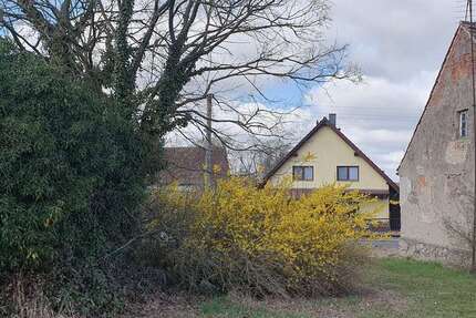 Grundstück Gem. Briesen/OT Biegen OT Biegen - 63.000&euro; | Angebot:26002158