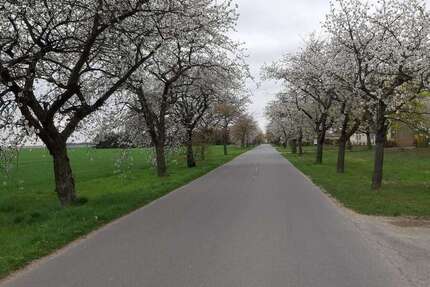 Grundstück Dahme/Mark Mark - 54.900&euro; | Angebot:21316471