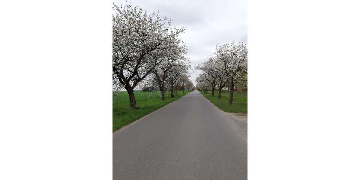 Grundstück Dahme/Mark Mark - 54.900&euro; | Angebot:21316471