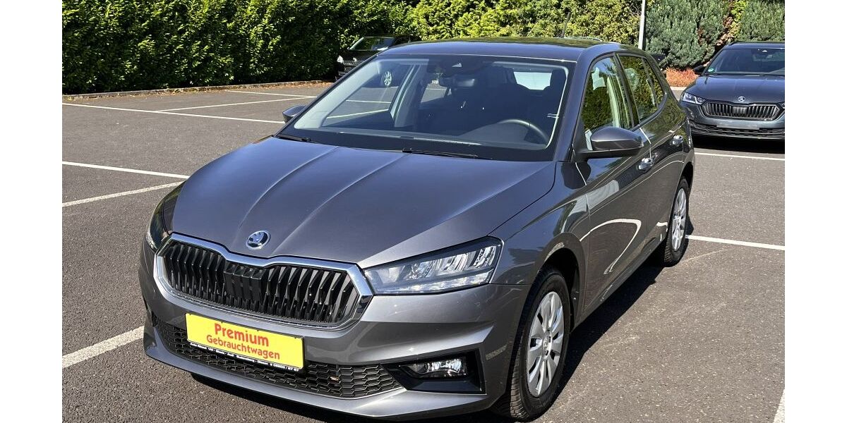 Skoda Fabia 21.750 km 18.790 &euro; Gudensberg-Dissen 34281