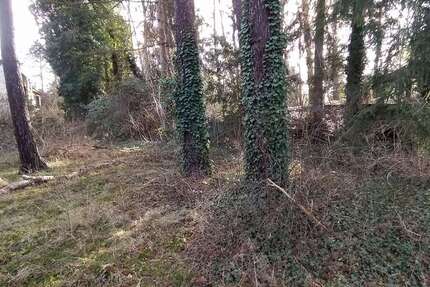 Grundstück Wedemark - 560.000&euro; | Angebot:27308203