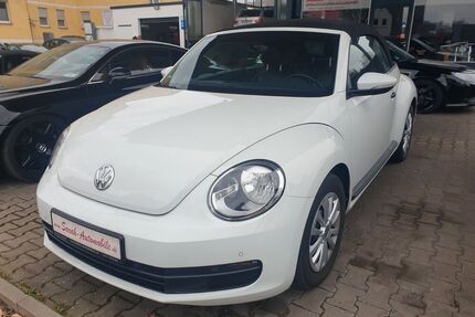 VW Beetle