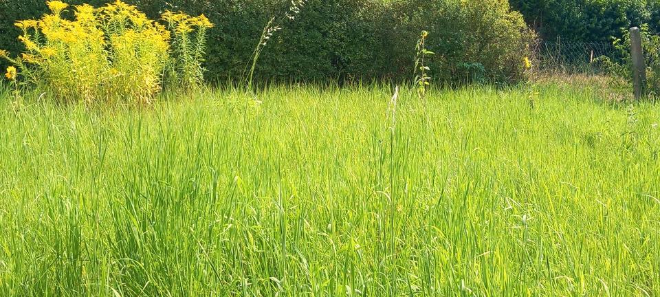 Einfamilienhaus Dinkelsbühl - 3 Zimmer, 50 m&sup2;, 129.000&euro; | Angebot:25715935