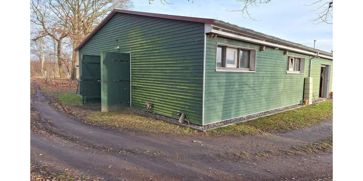 Riesen-Grundstück, zusätzl. Bauland, Riesen-Garage, Stall - Großzügiges Wohnhaus in Greifswald 7 zimmer