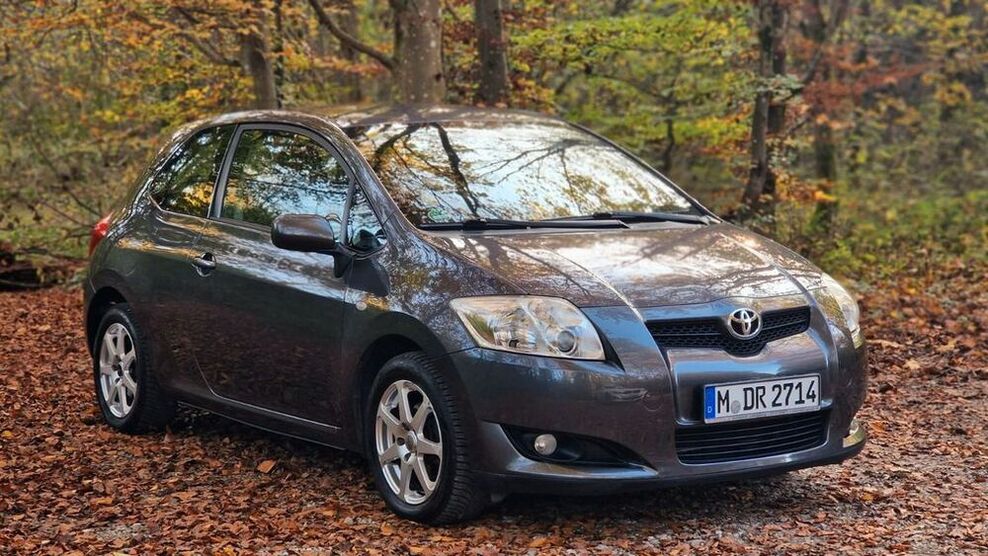 Auris
