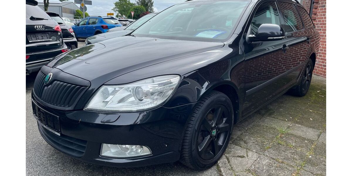 Skoda Octavia 368.024 km 4.985 &euro; Weertzen 27404