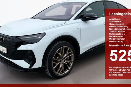 Audi Q4 e-tron 3.928 km 58.220 &euro; Mühldorf am Inn 84453