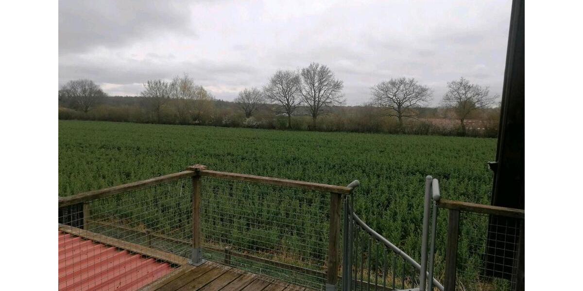 Dachgeschoßwohnung Grömitz - 2 Zimmer, 40 m&sup2;, 440&euro; | Angebot:26234805