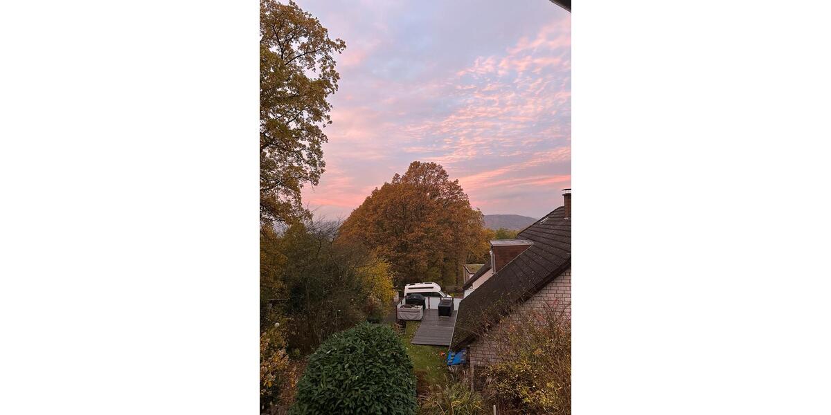 Etagenwohnung Siegen Weidenau - 1 Zimmer, 47 m&sup2;, 620&euro; | Angebot:26310455