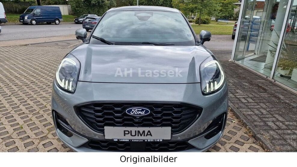 Puma