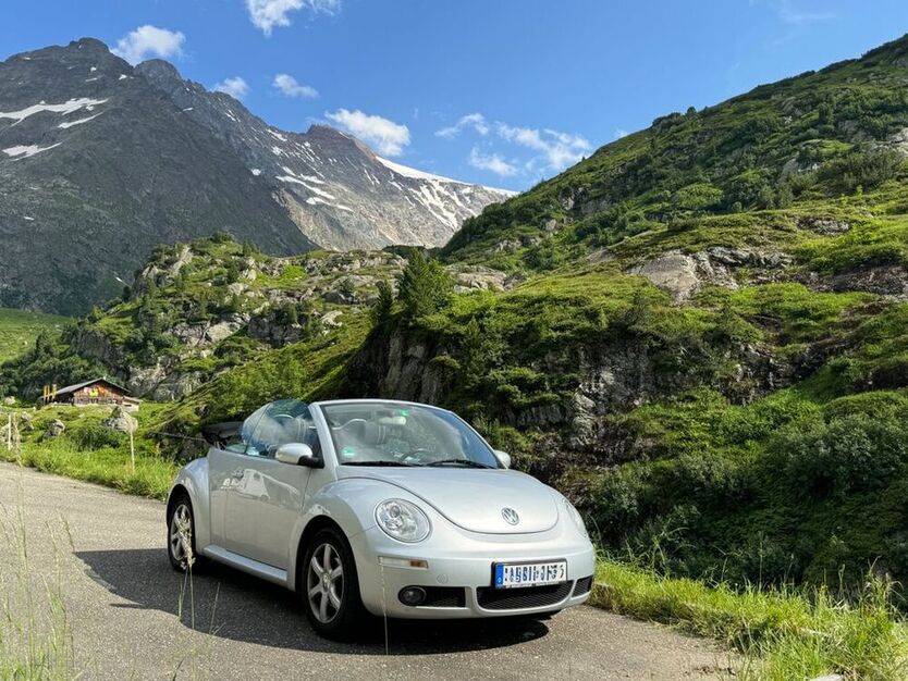 Beetle