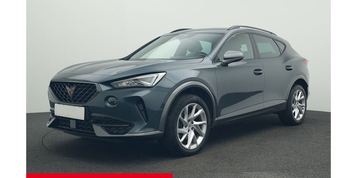 Cupra Formentor 102.670 km 24.950 &euro; Mühlhausen 92360
