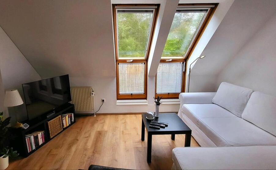 3 Raum DG Wohnung incl. aller NKmit kl. Balkon und Gartennutzung