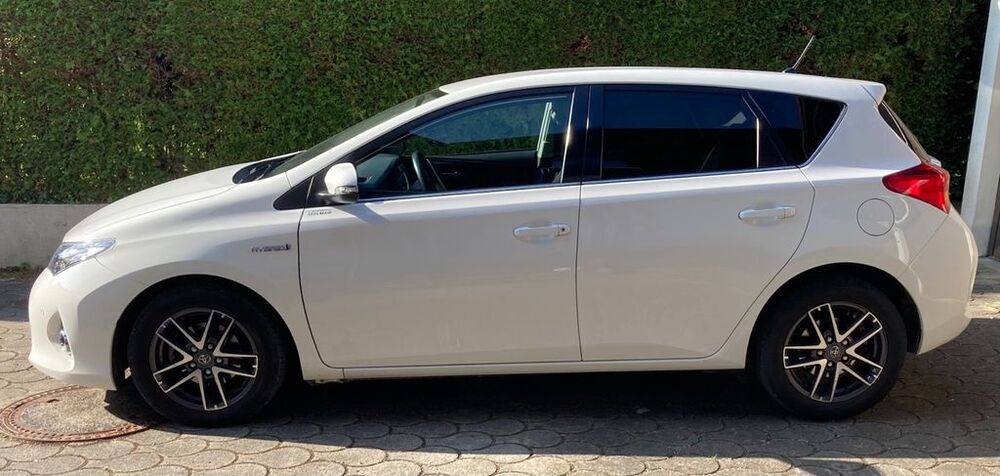Auris