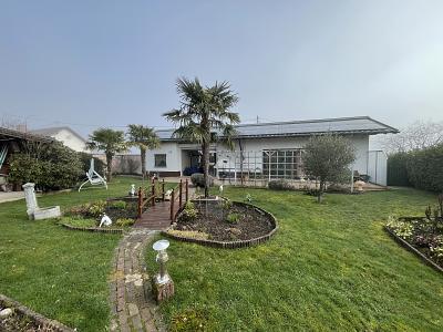 ALTERSGERECHT, POOL, TOP ZUSTAND, EFFIZIENT - Einfamilienhaus Weiskirchen | Angebot:27145234