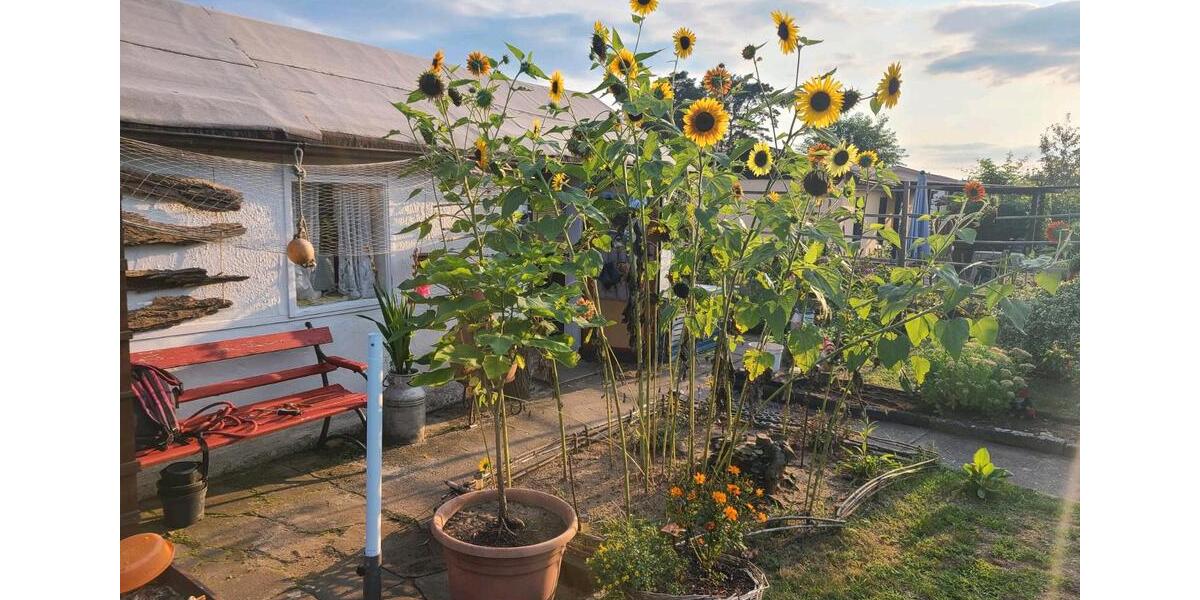 Grundstück Dresden Loschwitz - 1.200&euro; | Angebot:26402910